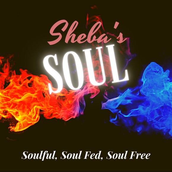 Meet your Posher, Sheba - Picture 2 of 2